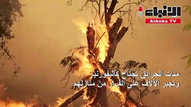 مئات الحرائق تجتاح كاليفورنيا وتجبر الآلاف على الفرار من منازلهم