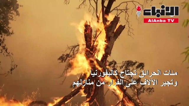 مئات الحرائق تجتاح كاليفورنيا وتجبر الآلاف على الفرار من منازلهم