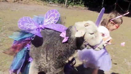 فتاة صغيرة تعيش في عالمها الخاص مع صديقها الخروف