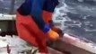 فيديو يثير الإعجاب لصيد أسماك التونة - Sputnik Arabic