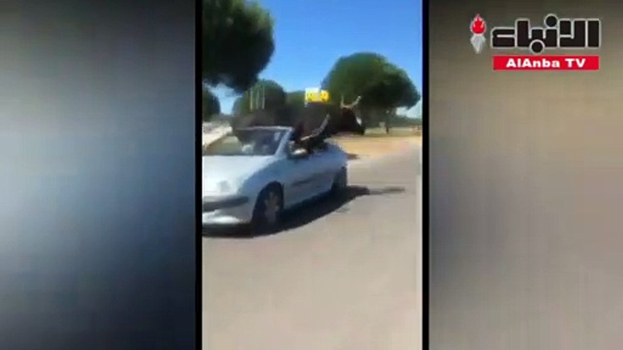 ثور