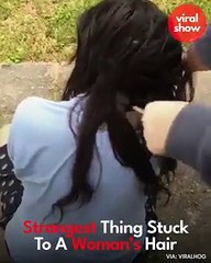 شيء غريب يعلق في شعر أميركية ويرفض الخروج منه!