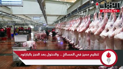 تنظيم مميز في المسالخ