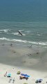 Osprey Carries Away Huge Fish as Myrtle Beach Tourists Watch On