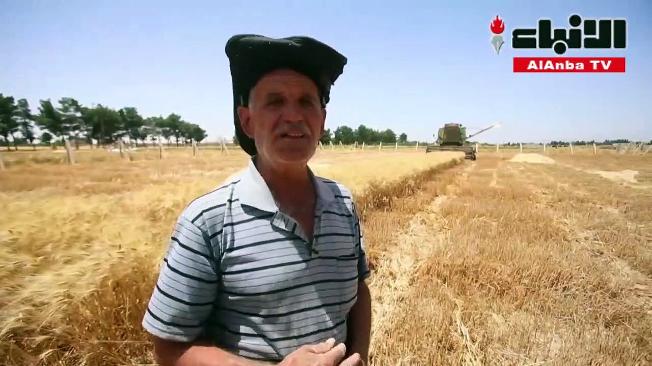 محاصيل القمح الوفيرة تنعش آمال السوريين وسط أزمة معيشية خانقة