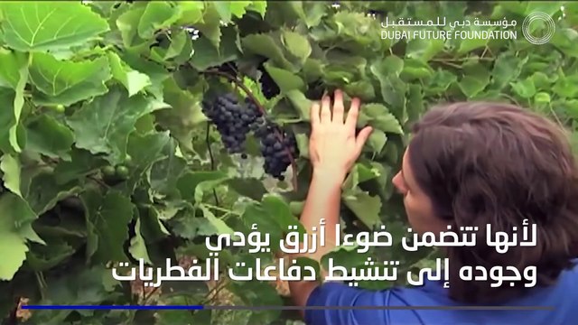 روبوت يكافح أمراض النباتات بالأشعة فوق البنفسجية