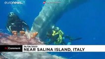 شاهد- خفر السواحل الإيطالي يحرر حوتا علق بشبكة صيد