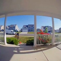 سائقة -أمازون- تتصرف بطريقة مثيرة أثناء التوصيل