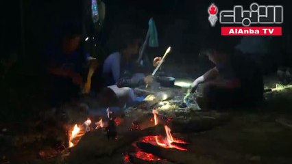 عودة فيلة إلى ديارها تجلب مشكلة كبرى لقرى تايلاندية