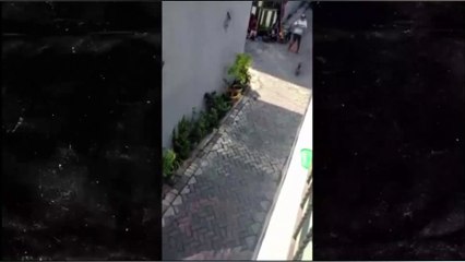 قرد على دراجة يحاول "خطف" طفل.. وفيديو يوثق الواقعة