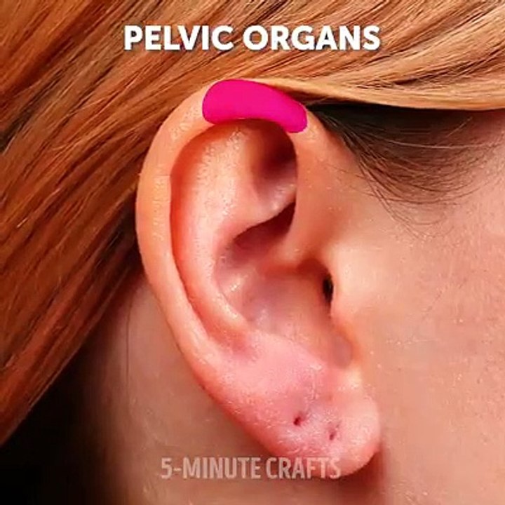 Pelvic organs || Sworld trending video