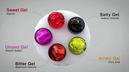 [CHI2020] Norimaki Synthesizer- Taste Display Using Ion Electrophoresis in Five Gels