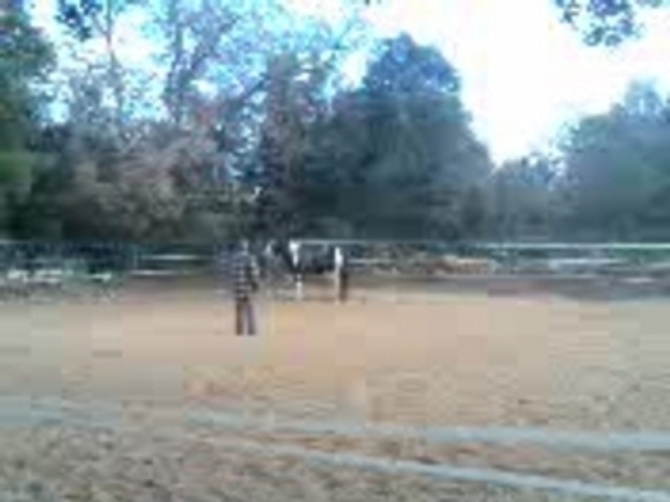 travail dobbin