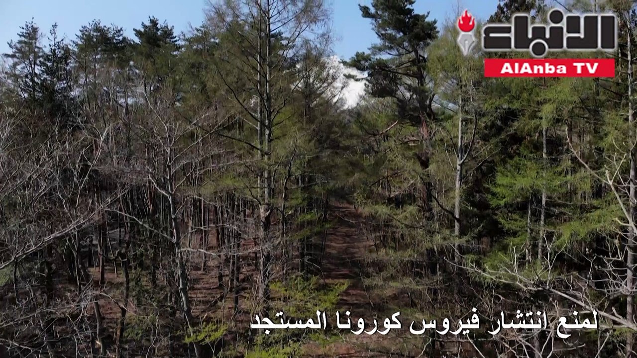 المسارات المؤدية إلى جبل فوجي الياباني مغلقة أمام المتسلقين