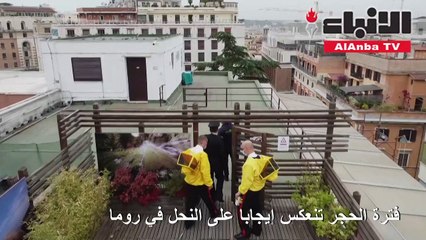 فترة الحجر تنعكس إيجابا على النحل في روما