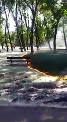 حريق في حديقة يؤدي إلى ظهور عشب أخضر بطريقة سحرية