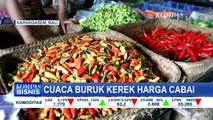 Cuaca Buruk Jadi Faktor Petani Gagal Panen, Harga Cabai Melonjak Naik!