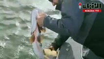 إبراهيموفيتش يصطاد سمكة ضخمة ثم يعيدها إلى المياه