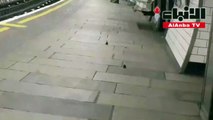 الفئران تتقاتل داخل محطة مترو في لندن