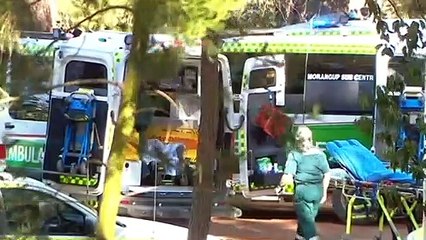 WA scientists calls new approach to bushfire safety