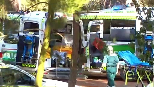 WA scientists calls new approach to bushfire safety