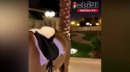 بالفيديو يشاهد السينما ويركب الخيليزيد الراجحي يستعرض كيف يقضي الحجر الصحي داخل منزله
