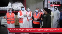 7.5 ملايين مخزون الكويت الإستراتيجي من «الكمامات»