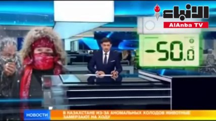 تحول الحيوانات لأشباح في مدينة أبو التفاح