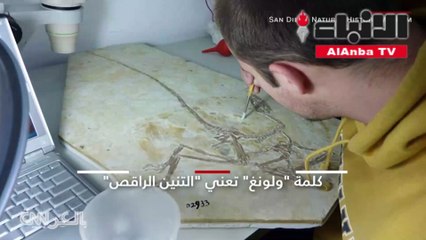 العثور على طائر متجمد من العصر الجليدي عمره 46 ألف عام في سيبيريا