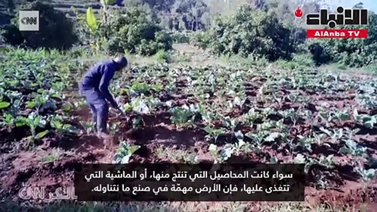 الطعام