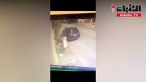 كلاب ضالة في السعودية تهاجم رجلاً وامرأة أثناء خروجهما من المنزل