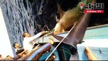 اماراتي يتمكن من صيد 3 أسماك قرش في الفجيرة