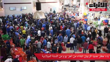 بدء حظر صيد الربيان ابتداء من آخر يوم من السنة الميلادية