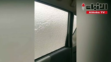 يابانية تفتح نافذة سيارتها في طقس شديد البرودة فتتفاجأ بهذا المشهد