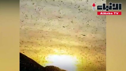 الجراد يجتاح مدينة إيرانية