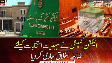 ECP unveils code of conduct for Senate elections