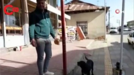Gerçek güvenlik kamerasında ortaya çıktı