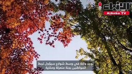 حديقة هوون السرية جنة طبيعية في وسط شوارع سيؤول