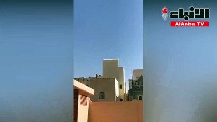 أسد يعتلي سطح مبنى قرب مدرسة يثير الذعر