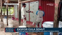 Untung Belasan Juta Dari Ekspor Gula Semut Ke Benua Eropa