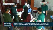 10 Ekor Lutung Jawa Jalani Pemeriksaan Kesehatan