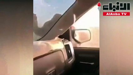 جمل يلقن صاحبه درسا قاسيا