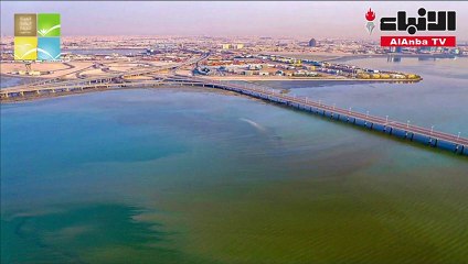 البيئةتتابع انتشار بقع بنية مائلة إلى اللون الأحمر في جون الصليبخات