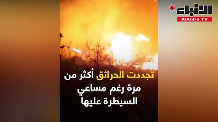 حرائق الطبيعة طغت على الحرائق السياسية في لبنان