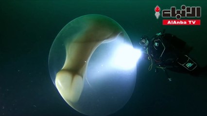 ظاهرة نادرة