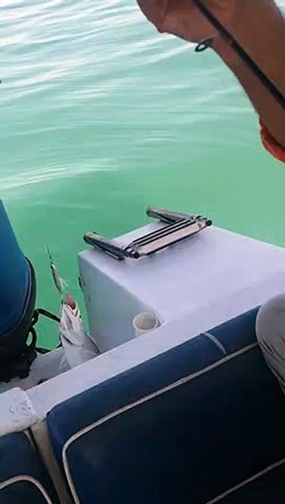 1 (2)