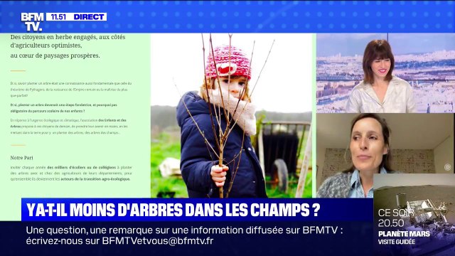 Y a-t-il moins d'arbres dans les champs ?