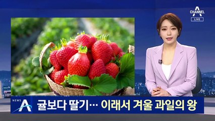 복숭아 맛 나는 딸기…귤 제치고 ‘겨울 과일’ 왕좌