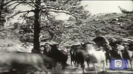 Fury - Season 1 - Episode 4 - Joey Goes Hunting | Peter Graves, William Fawcett, Bobby Diamond