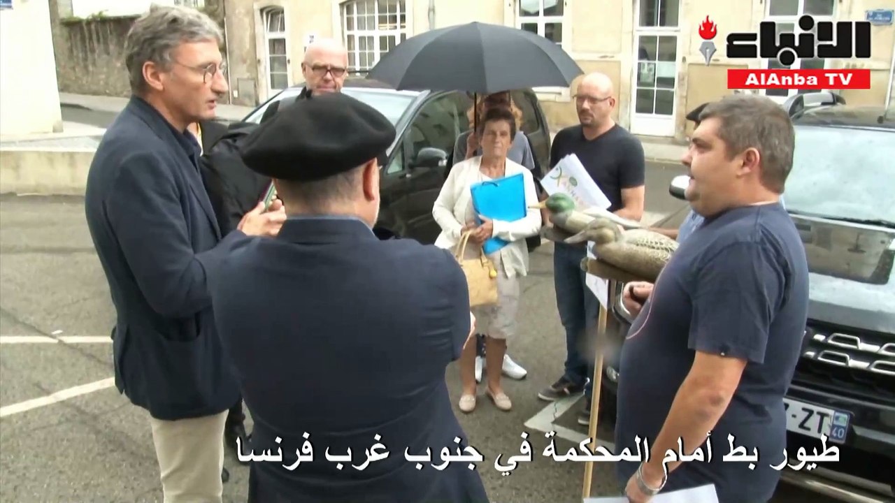 طيور البط وأصواتها أمام المحكمة